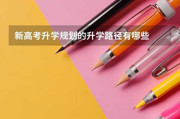 新高考升学规划的升学路径有哪些